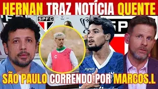 ANDR&Eacute; HERNAN E PLIHAL TRAZEM &Uacute;LTIMAS INFORMA&Ccedil;&Otilde;ES SITUA&Ccedil;&Atilde;O DE MARCOS LEONARDO! RIGONI FECHADO!