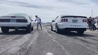 cammed LS swapped Foxbody vs SN95 Cobra