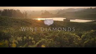 Wine Diamonds | Официальный трейлер