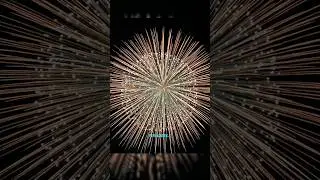How Do Fireworks Really Work? Uncover the Explosive Mechanism Inside! | How do Diwali fireworks work