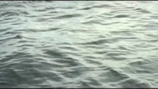 Phantom Fall Phantom Softail Muskie 1