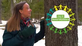 Yasmine utbildar f&ouml;r att skydda skogar