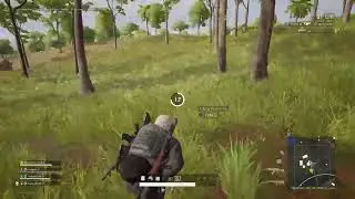 Go4 Champion wins sometimes