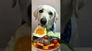 There is a new dish today_ guess what magical animals are on Douyin. Cute pet debut plan. Fant 🤣
