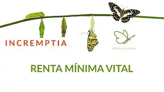 Renta m&iacute;nima vital