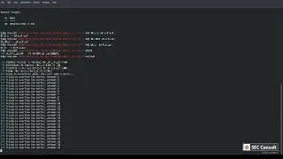 Unauthenticated remote root buffer overflow in Zyxel devices