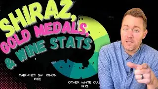SA Shiraz, Gold Medals & Wine Statistics | MAN Vintners Skaapveld Syrah (#219)
