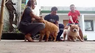stud session Naman tayo mga kashoot 👉👌💦💦💦
