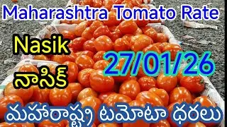 today tomato rate nasiktoday tomato rate nashiknashik tomato market rate todaynashik tomato rate 