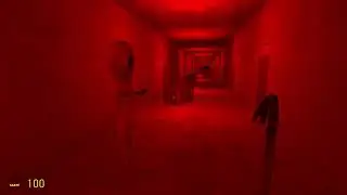 playing garry's mod