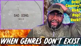 What Genre of Music Is This? 🤔 | Vwillz - Sad Song (Official Audio) | REACTION!!!