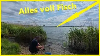 Angeln am gro&szlig;en See auf Friedfisch Wenn der Wetterwechsel die Karten neu mischt