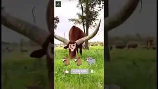 amazing Bakra fighting 🐐🐐🐃 videos Ukraine #animals #shorts