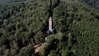 Der Luitpoldturm auf dem Wei&szlig;enberg im Pf&auml;lzerwald