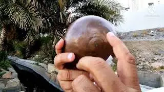 كيفية استخدم طاسة الفلج 