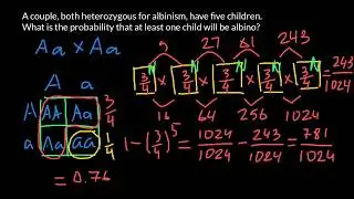 How to solve simple probability problems in genetics