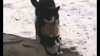 Групповушка.