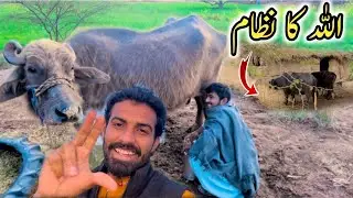 Ye Sab Khud Bakhud Nahi Hota | Allah Ka Nizam