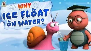 Why Does Ice Float On Water? | Kids Learning Video | Fun Learning for Kids | Professor Turtloo