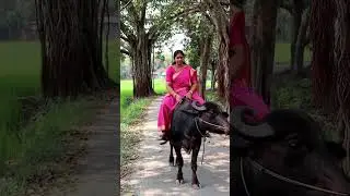 Peaceful Village Life | Woman Riding Buffalo on a Rural Road | Nature & Simplicity #shortvideo