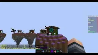 Skywars #005 - Enderman