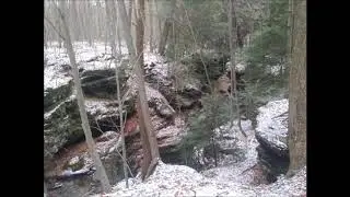 The West Woods