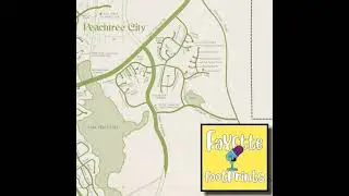 Creating a city; the planning and development of Peachtree City