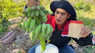 មកចំការកាប់ចេចហូប! | Eating green (unripe) banana with prahok sauce
