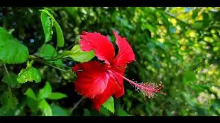 #new rell please subscribe to my channel 