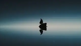 lost palms - keep me wild (official visualizer)