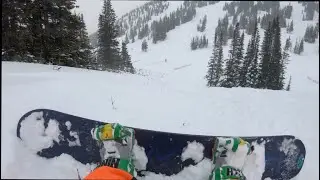 Powder Day At Marmot Basin