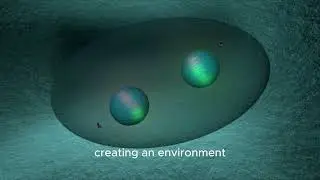 about marine growth prevention system