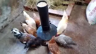 quality tire chicken feeder