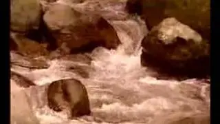 defensa del agua
