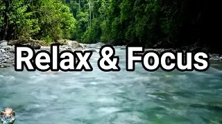 🌲💧 Morning River Sounds for Relaxation | Natural Flowing Water ASMR 🌙
