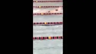 50 free style at state swim meet