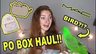 PO BOX HAUL & UNBOXING! FANMAIL, PR, PUSHEEN & MORE | Pretty Pastel Parcels #1
