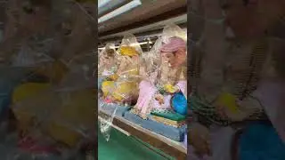&ldquo;Elegant Ganpati Idols for 2025 | Handcrafted Perfection in Every Detail | Ganesh Chaturthi Special&rdquo;