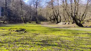 Along the River: A Serene Escape from the City Life