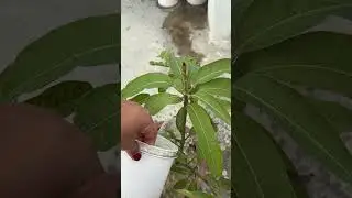 This Song Feels Like A Deep Philosophy |Gham Aur Khushi Mein Farq Na Mehsoos HoJahan |#shortvideo
