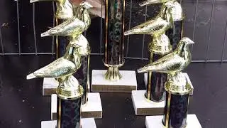 LAPC's 2017 Young Bird Show