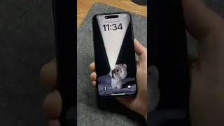 Turn Live Photos into dynamic wallpapers on your iPhone #dynamicwallpaper #labubu #techhacks #tips