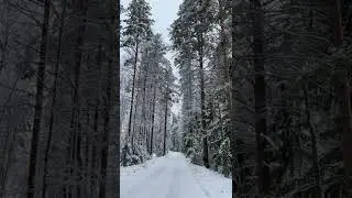 Зимушка❄️. #winter #зима #2022 #live #live #travel #снег #nature #car #people #lifestyle #village