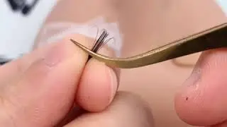 Mega Volume with VAVALASH Premium Lash