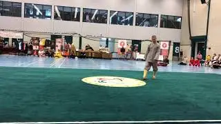Shi Yanti demo Guoshu cup amsterdam.