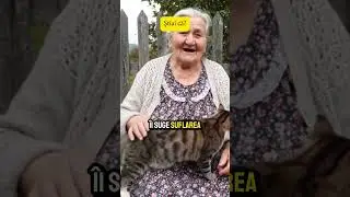 Superstitii pisici