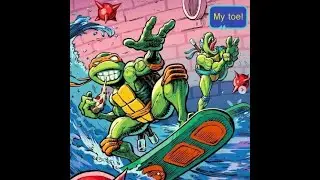 The history of the TMNT