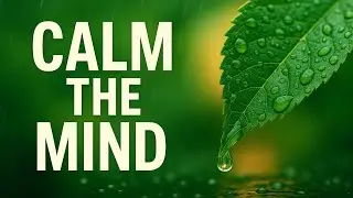Calm Your Mind in 3 Minutes | Quick Anxiety Grounding Meditation for Instant Relief