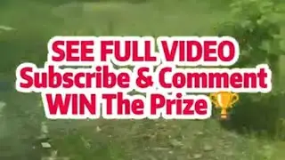 SEE FULL VIDEO | FIND Location | Comment Right Place | SubscribeShare| WIN The Prize🏆 @championsail 