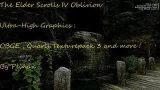 The Elder Scrolls IV Oblivion Extreme Graphics (Godrays,OBGE,Quarls TexturePack 3)